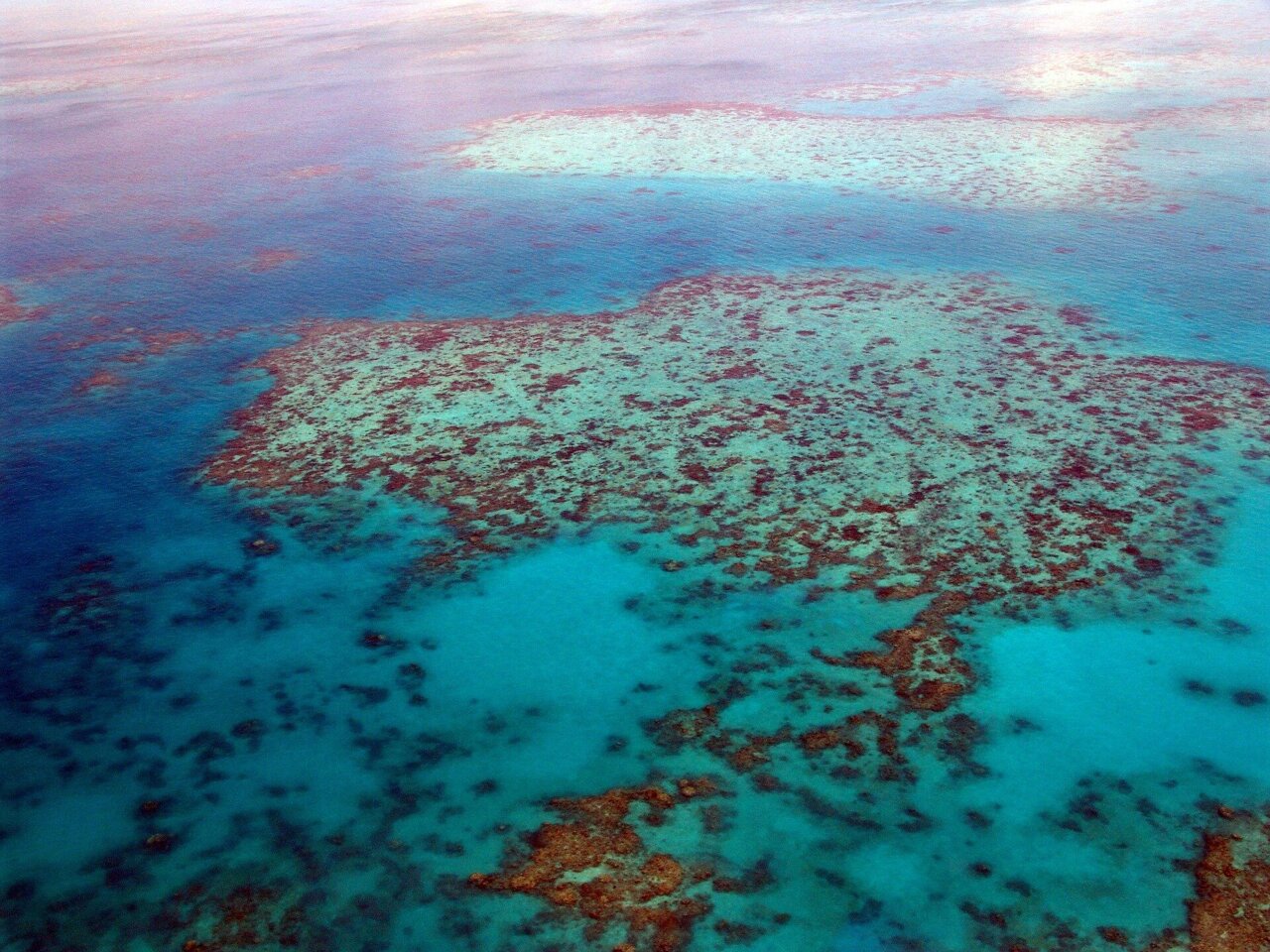 Vista submarina de corales en un arrecife, usada para ilustrar la calidad del agua que llega a la Gran Barrera.