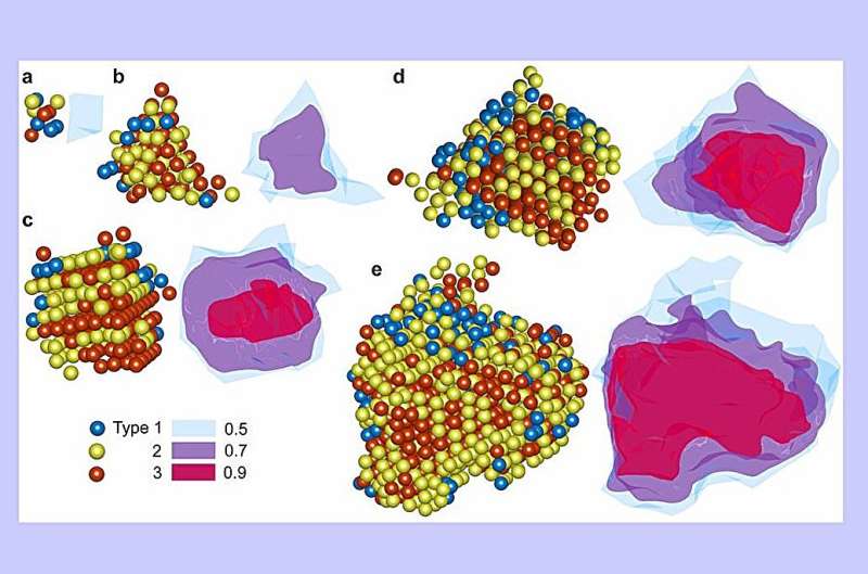 Mapas tridimensionales de núcleos cristalinos con regiones de distinto grado de orden atómico.