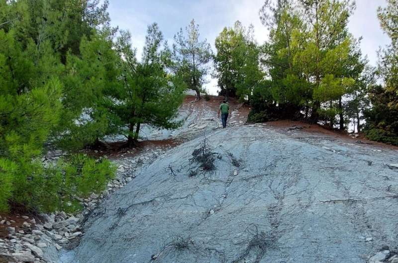 Afloramiento estratigráfico en la cuenca de Mut, en Turquía, donde se identificaron los depósitos marinos.