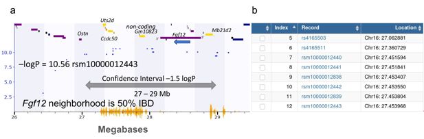 Gráfico del estudio que compara cómo cambia con el tiempo la respuesta locomotora a la morfina según distintas variantes genéticas en ratones.