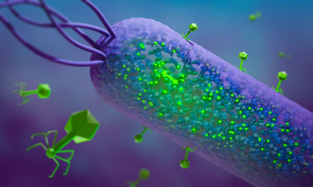 Ilustración científica sobre la infección de una bacteria por un fago T7 y la modificación de proteínas dentro de la célula.