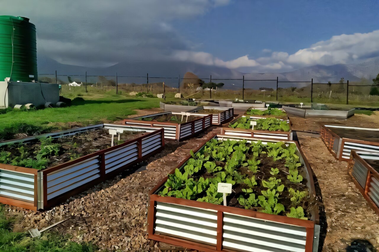 Huertas regadas con agua tratada por un sistema natural de filtración en el centro Water Hub de Franschhoek, Sudáfrica.