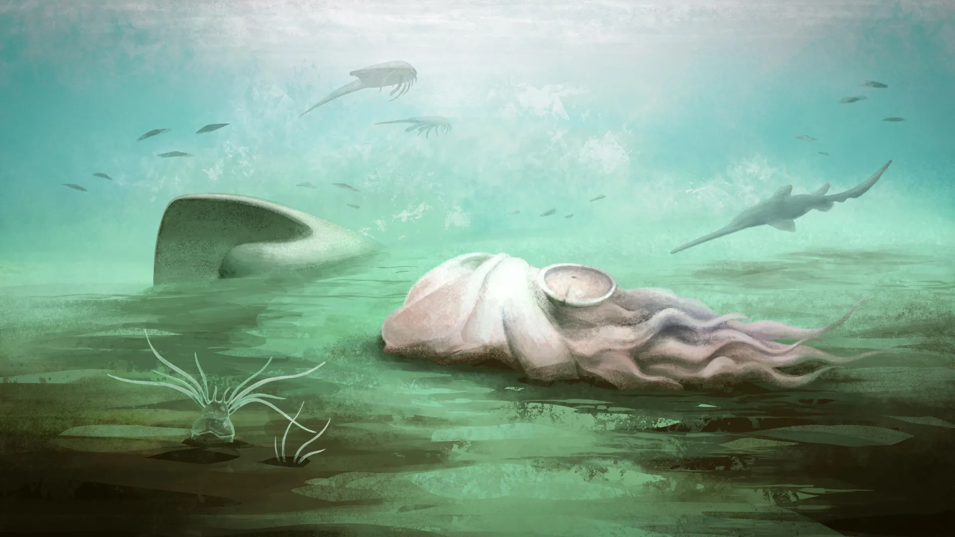 Reconstrucción de Pohlsepia mazonensis, el fósil reinterpretado como un antiguo pariente de los nautilos.