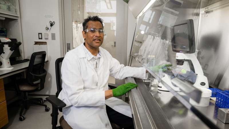 Imagen de laboratorio asociada a una investigación sobre edición genética y terapia génica.