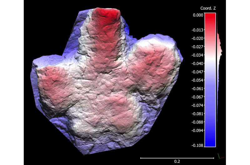 Modelo digital de una huella fósil de dinosaurio preservada en rocas del área de Tumbler Ridge, en Columbia Británica.