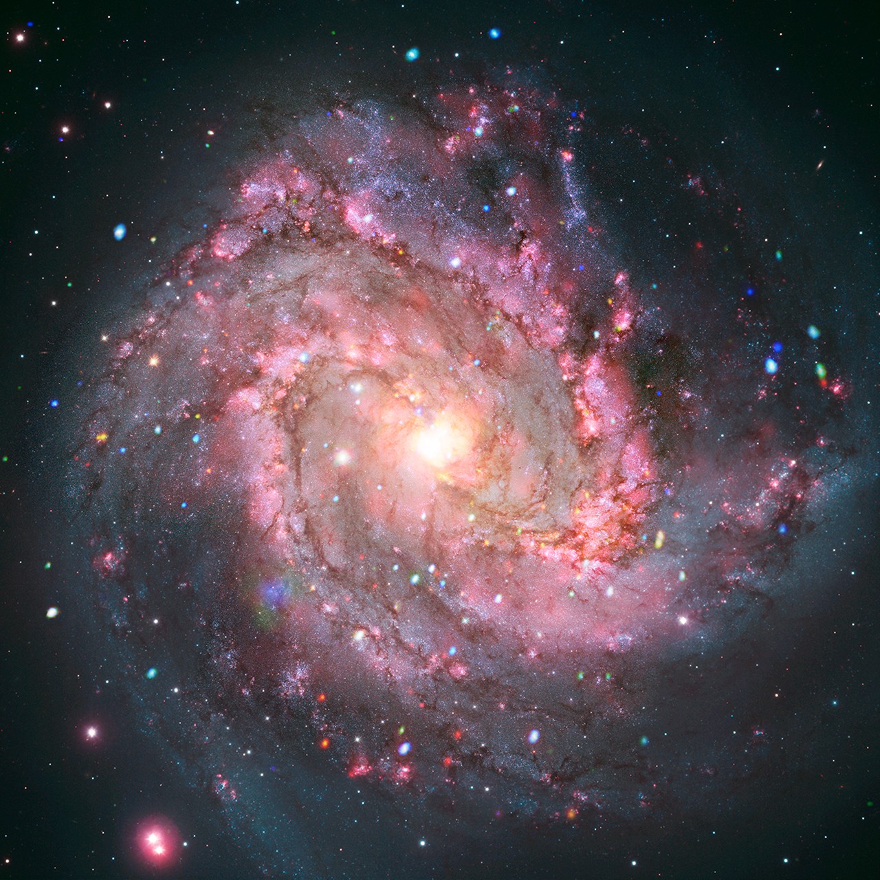 Imagen compuesta de la galaxia M83 con emisiones de rayos X en rojo, verde y azul superpuestas a datos ópticos, donde se estudian restos de supernova con brillo variable