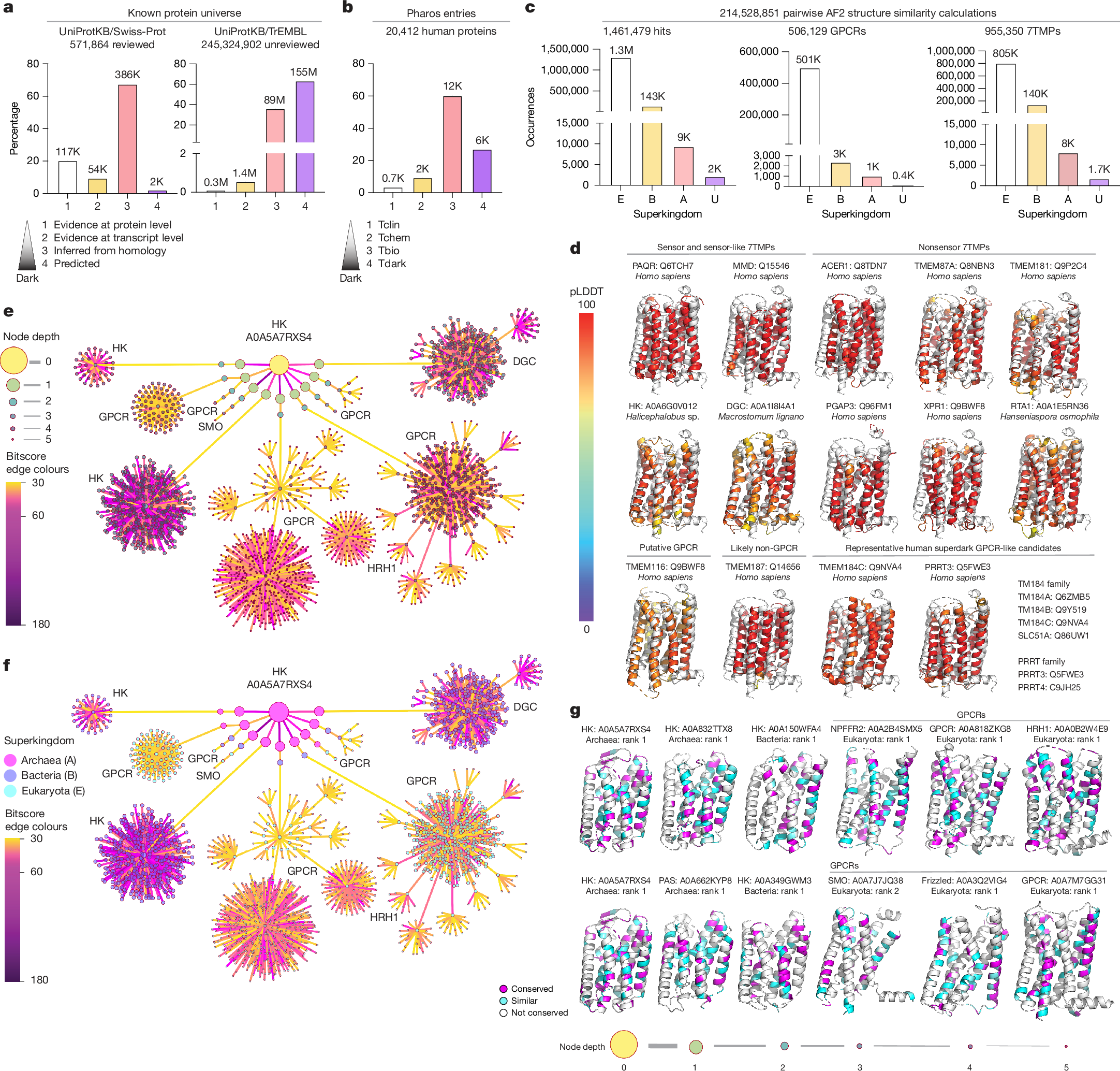 Diagramas y modelos estructurales que comparan TM184C con proteínas relacionadas y receptores acoplados a proteína G.