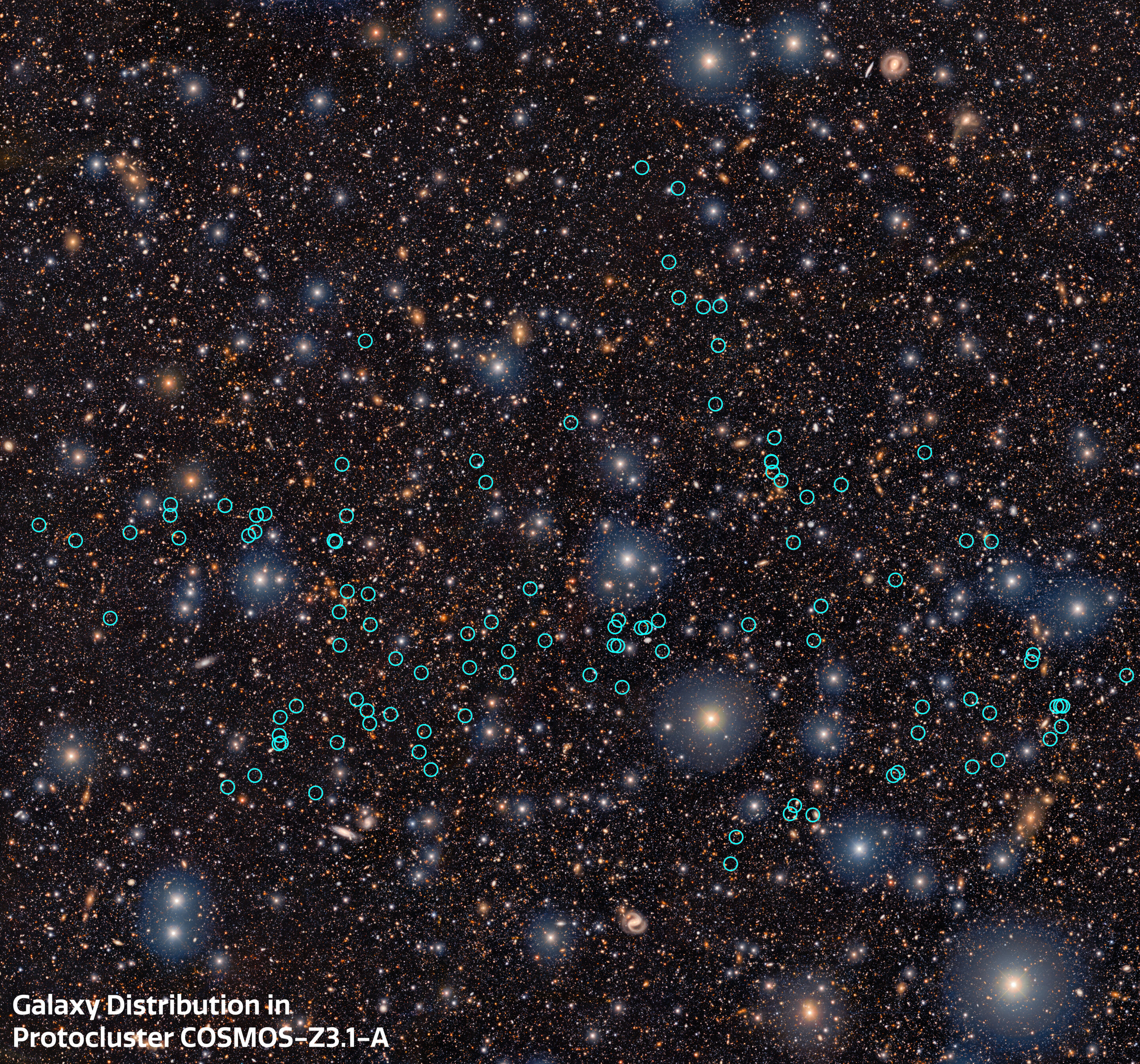 Representación del proto-supercúmulo de galaxias COSMOS-z3.1-A observado cuando el universo tenía solo 2.100 millones de años