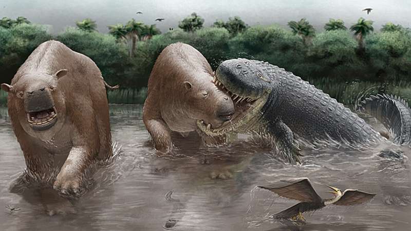 Reconstrucción artística de Purussaurus atacando a una presa en un humedal sudamericano del Mioceno.