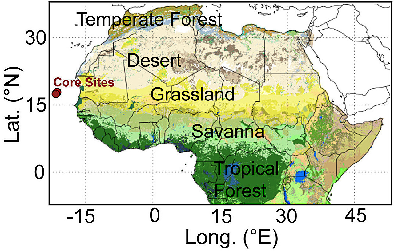 Imagen científica asociada al estudio sobre la apertura de sabanas en el noroeste de África durante el Mioceno.