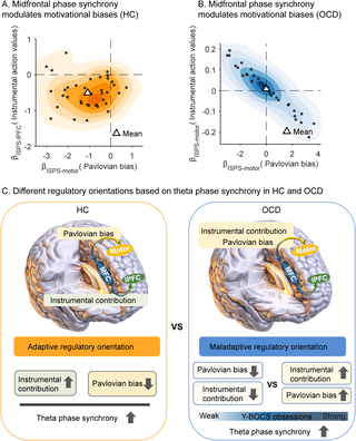 Figura del estudio que esquematiza cómo la sincronización theta entre regiones frontales y motoras del cerebro se relaciona con el control de la conducta en el trastorno obsesivo-compulsivo.