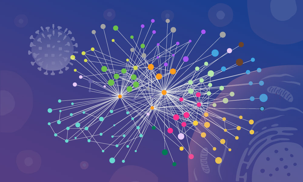 Red de interacciones entre proteínas del virus de la gripe y proteínas de una célula humana