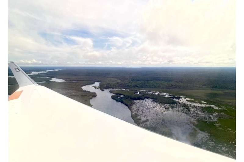 Cuerpos de agua en la selva amazónica vistos desde arriba.
